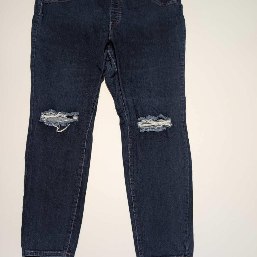 Ashley Nell Tipton for Boutique Dark Blue Distressed Jeans 20W